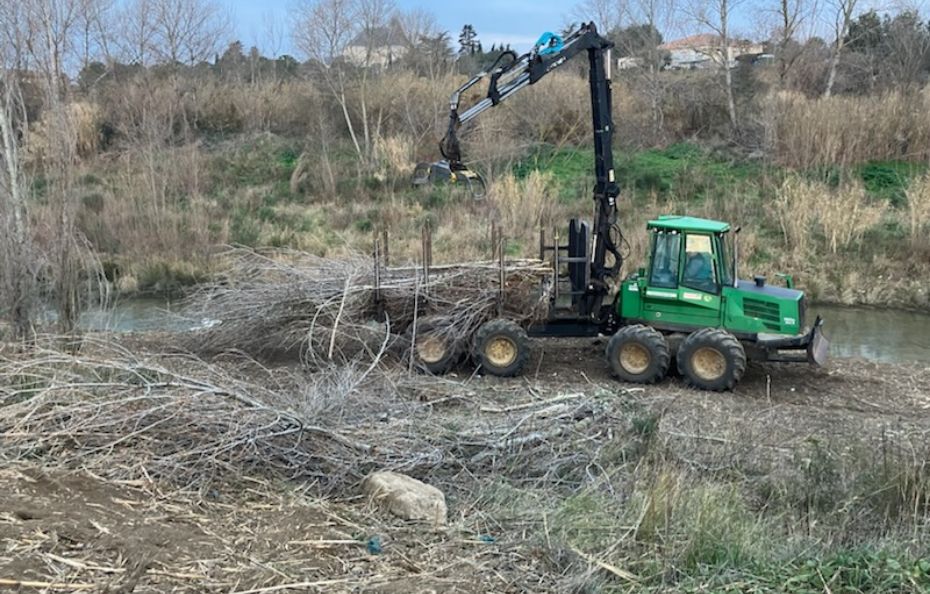 Abattage débardage travaux de sylviculture 2@2x