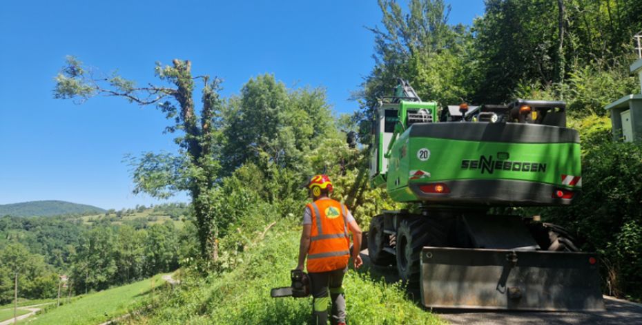Abattage et débardage, travaux de sylviculture@2x