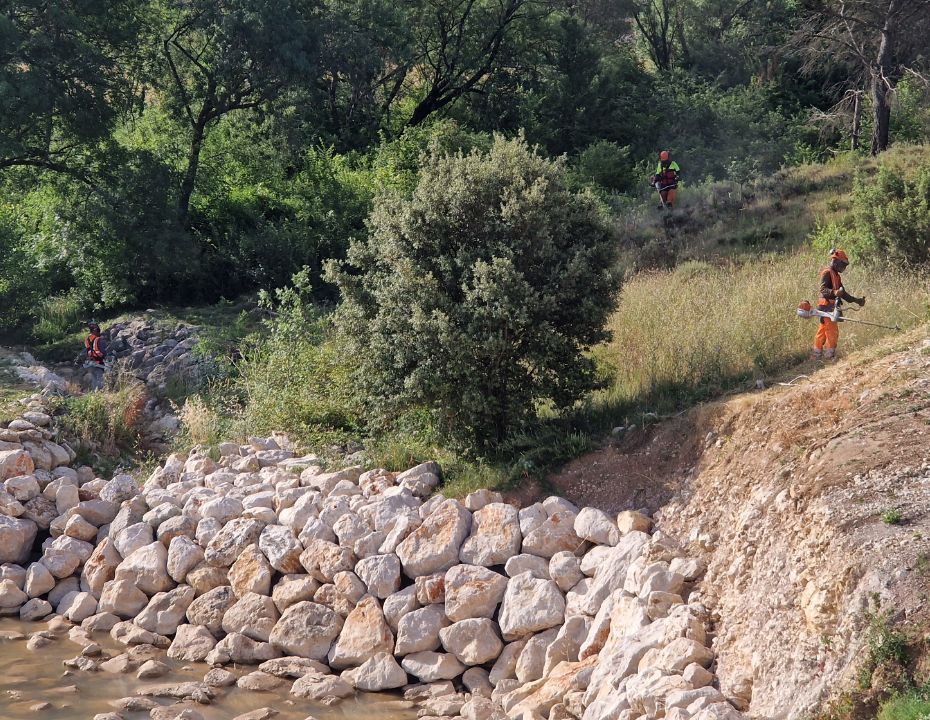 Actiforest-L’Enrochement@2x