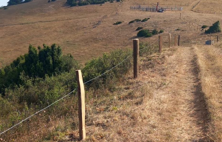 Actiforest_Clôtures fixes - Robustesse et durabilité@2x