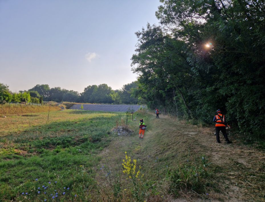 Actiforest_Le Débroussaillage Nos Méthodes d’Intervention@2x