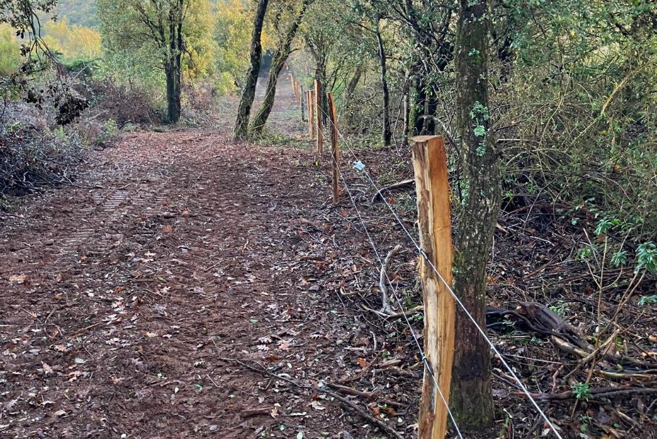 Actiforest_Systèmes mobiles - Flexibilité et optimisation du pâturage@2x