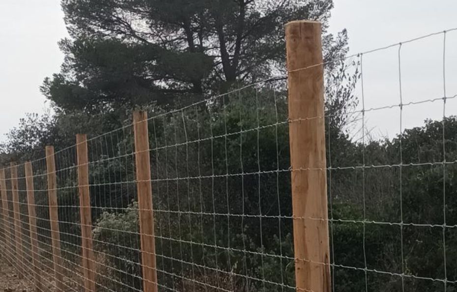 Actiforest_pose clotures-Le rôle essentiel d’une clôture adaptée@2x