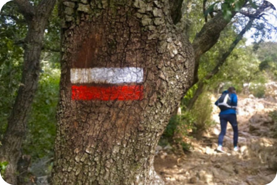 Débroussaillage et Élagage des Sentiers@2x