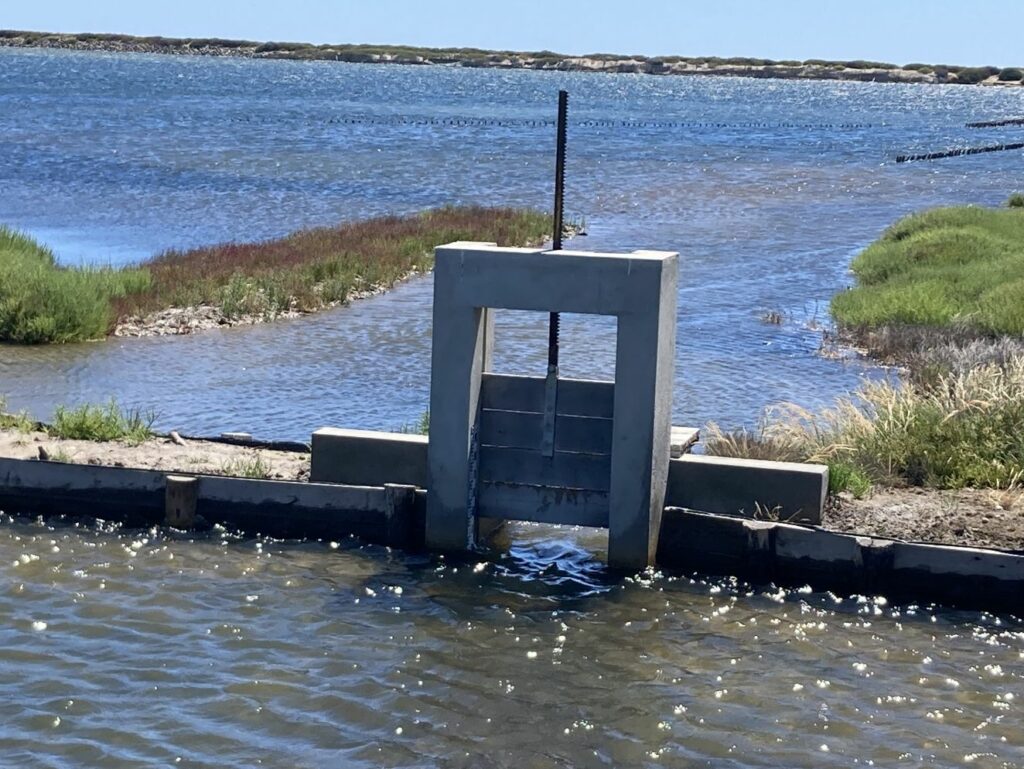 Diapo-Actiforest-Génie civil enrochement 5@2x