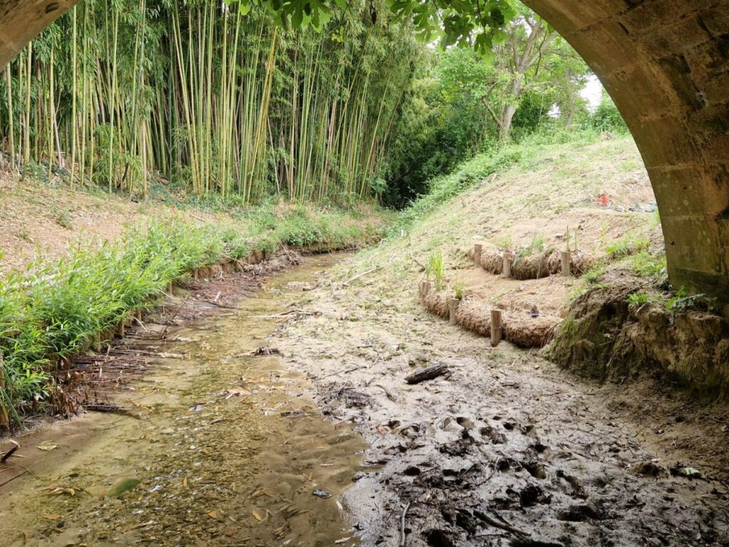 Diapo-Aménagements en génie végétales 2@2x