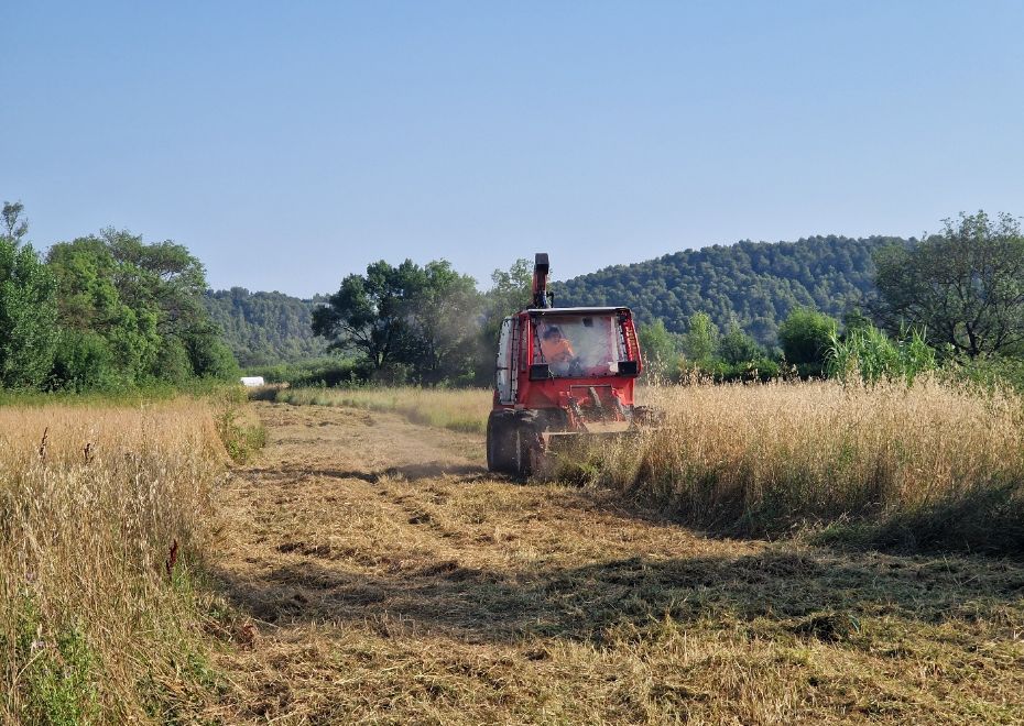 Gyrobroyage - technique clé pour la restauration des milieux naturels@2x