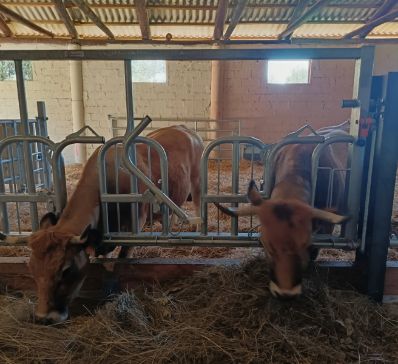 Magasin_Parcs à bétails-Cornadis@2x