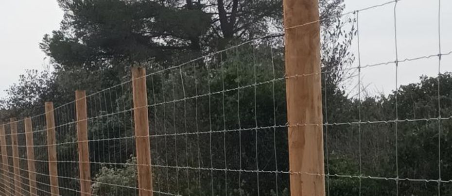 Pose de clôtures, aménagement de parc agricole@2x