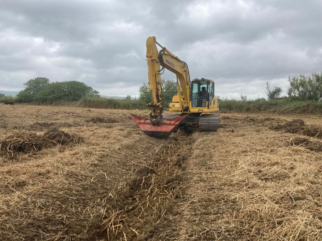 Restauration et gestion de zones humides 1@2x