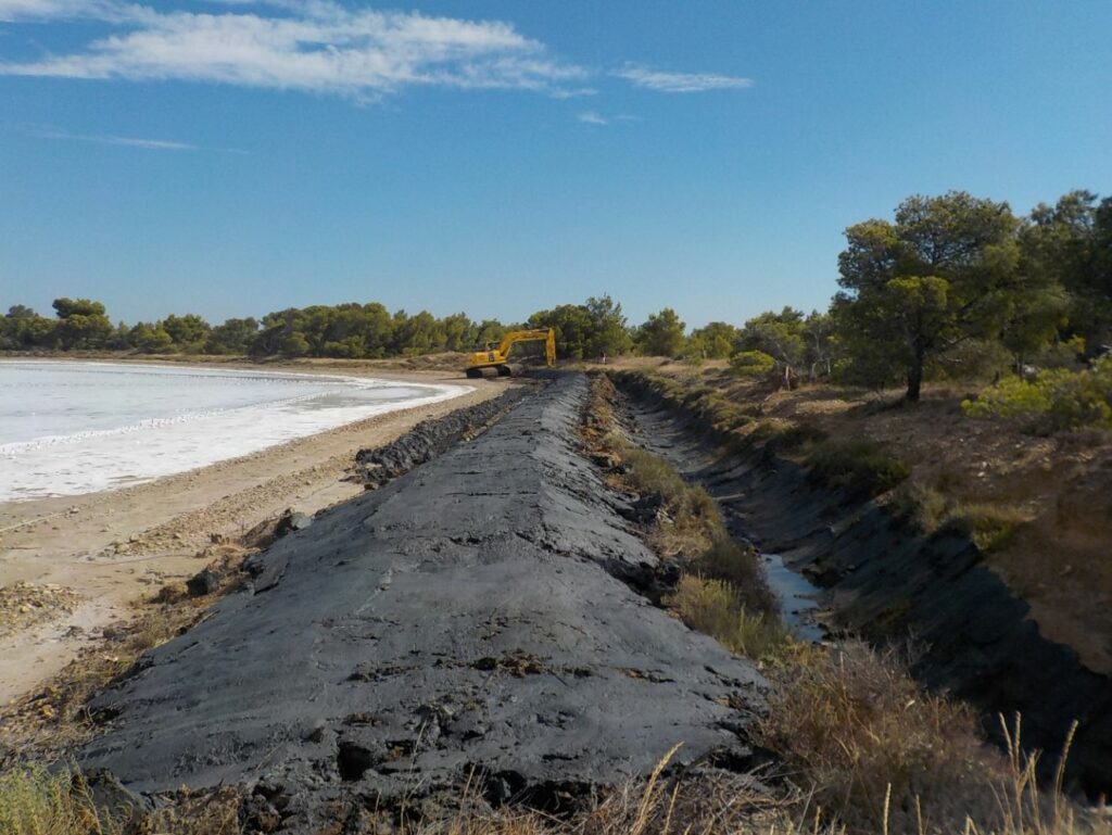 Restauration et gestion de zones humides 4@2x