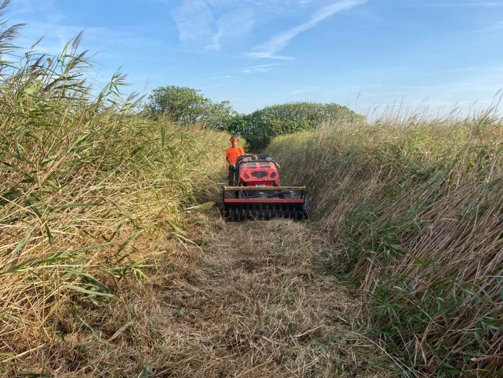 Restauration et gestion de zones humides 5@2x