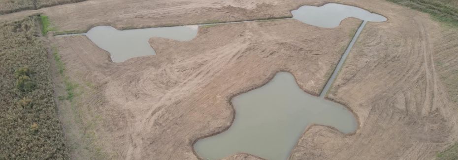 Restauration et gestion de zones humides, création de marres@2x