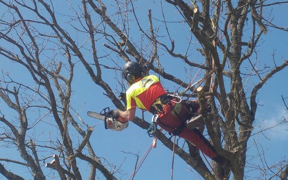 actiforest-Offres d’emploi@2x