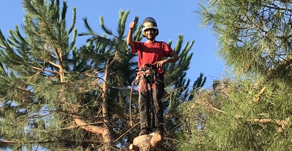 actiforest_Taille d’Abattage : Abattage en rétention@2x