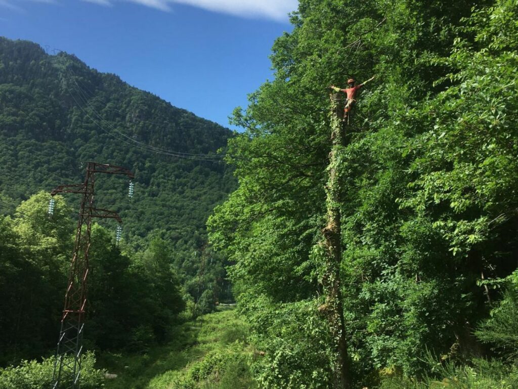 diapo_Entretien des réseaux haute tension 2@2x