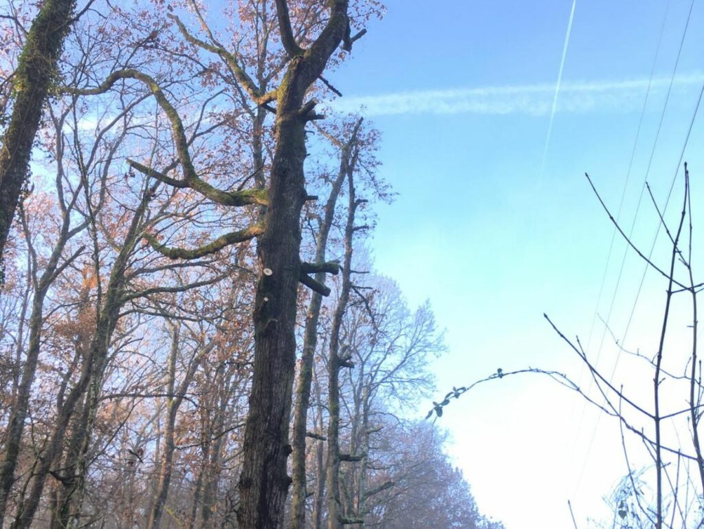 diapo_Entretien des réseaux haute tension 3@2x