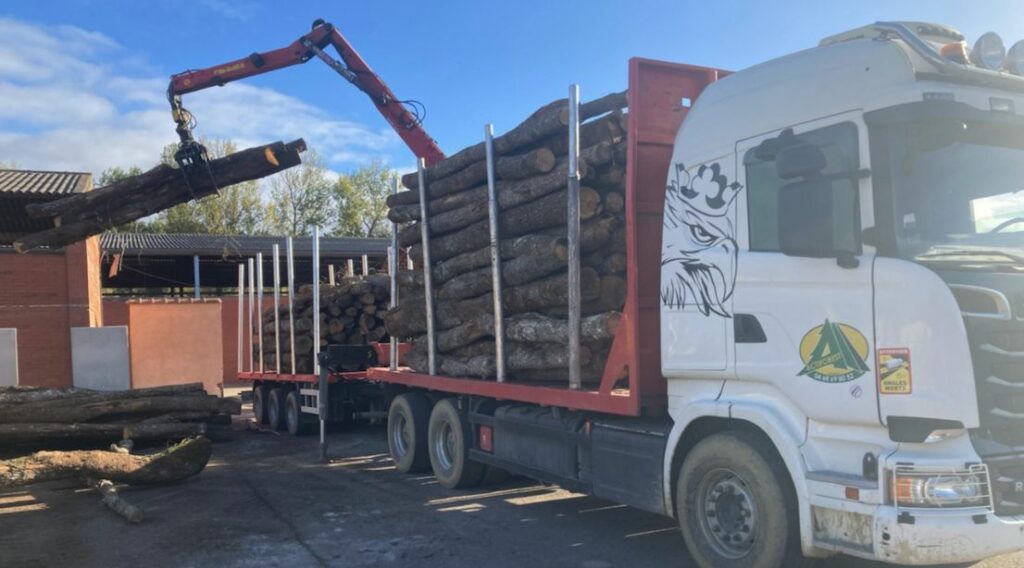 img-Le groupe Actiforest@2x